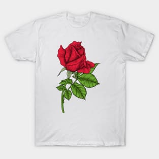 Red rose T-Shirt